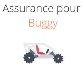assurance buggy